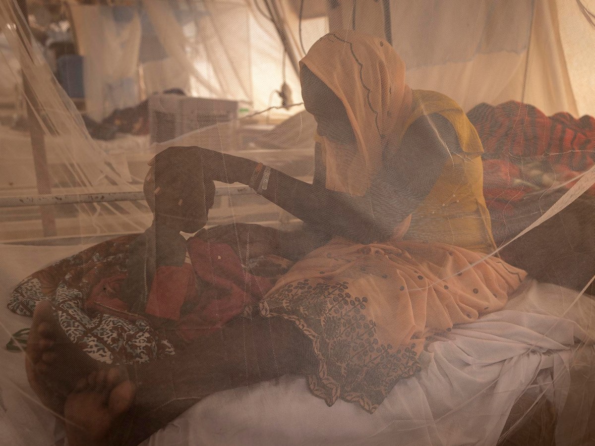 La guerra del Sudan 